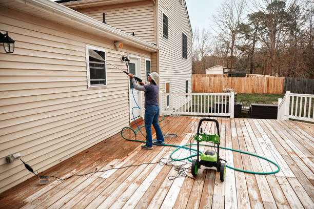 Best Pressure Washing Company Near Me  in Willow Oak, FL