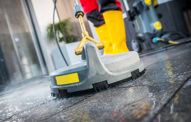 Best Power Washing Near Me  in Willow Oak, FL