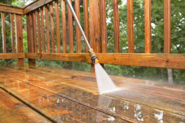 Best Sidewalk Pressure Washing  in Willow Oak, FL