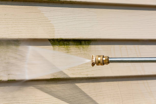 Best Exterior Home Cleaning  in Willow Oak, FL