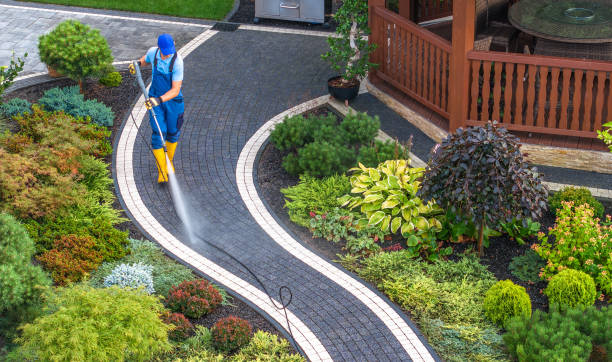 Best House Pressure Washing  in Willow Oak, FL