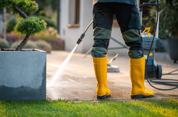 Best Fence Pressure Washing  in Willow Oak, FL